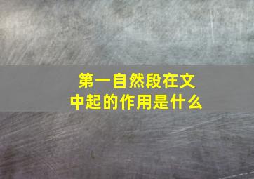 第一自然段在文中起的作用是什么