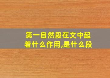 第一自然段在文中起着什么作用,是什么段