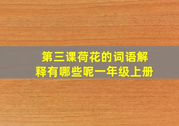 第三课荷花的词语解释有哪些呢一年级上册