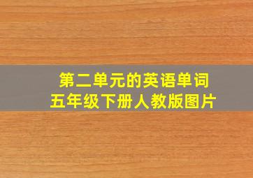 第二单元的英语单词五年级下册人教版图片