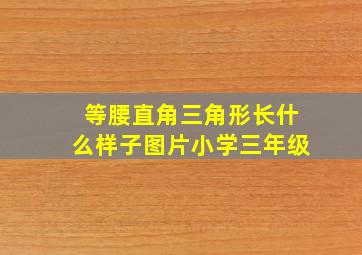 等腰直角三角形长什么样子图片小学三年级