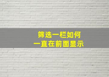 筛选一栏如何一直在前面显示