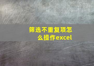 筛选不重复项怎么操作excel