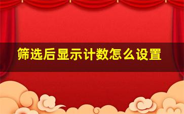 筛选后显示计数怎么设置