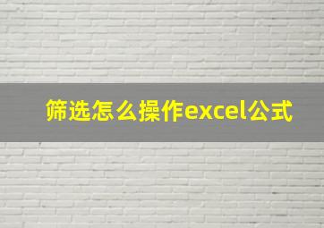 筛选怎么操作excel公式