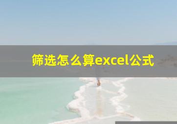 筛选怎么算excel公式