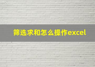 筛选求和怎么操作excel