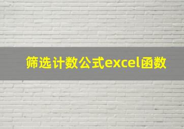 筛选计数公式excel函数