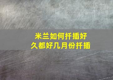 米兰如何扦插好久都好几月份扦插