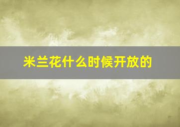 米兰花什么时候开放的