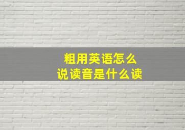 粗用英语怎么说读音是什么读