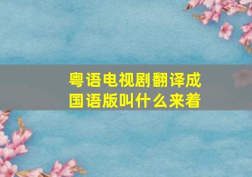 粤语电视剧翻译成国语版叫什么来着