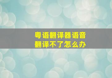 粤语翻译器语音翻译不了怎么办