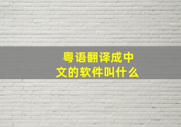 粤语翻译成中文的软件叫什么