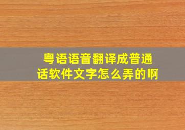 粤语语音翻译成普通话软件文字怎么弄的啊