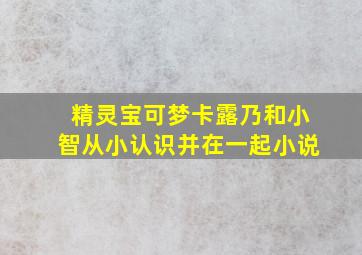 精灵宝可梦卡露乃和小智从小认识并在一起小说