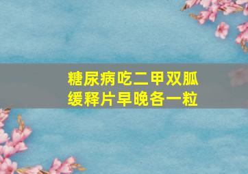 糖尿病吃二甲双胍缓释片早晚各一粒