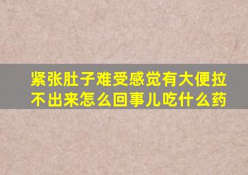 紧张肚子难受感觉有大便拉不出来怎么回事儿吃什么药