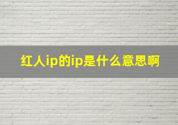 红人ip的ip是什么意思啊