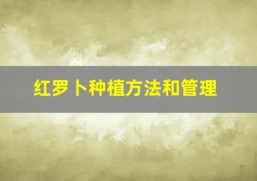 红罗卜种植方法和管理