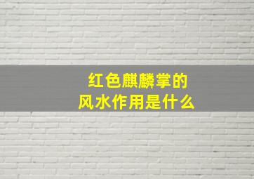 红色麒麟掌的风水作用是什么