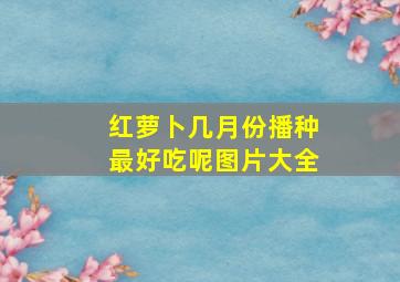 红萝卜几月份播种最好吃呢图片大全