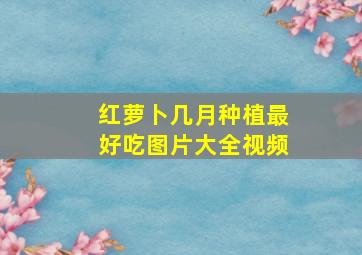 红萝卜几月种植最好吃图片大全视频