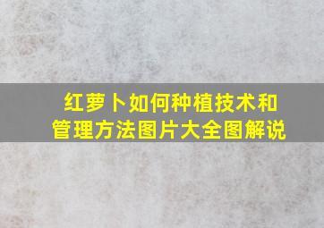 红萝卜如何种植技术和管理方法图片大全图解说