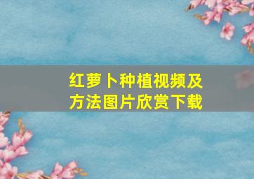 红萝卜种植视频及方法图片欣赏下载