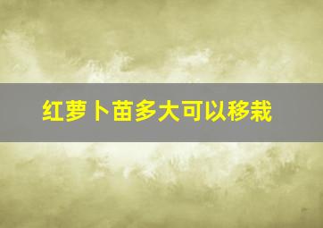 红萝卜苗多大可以移栽