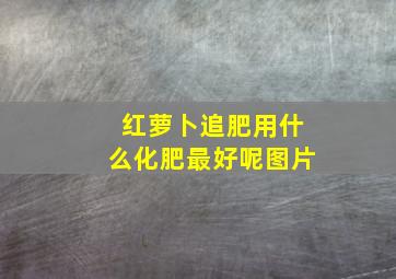 红萝卜追肥用什么化肥最好呢图片