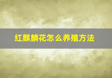 红麒麟花怎么养殖方法