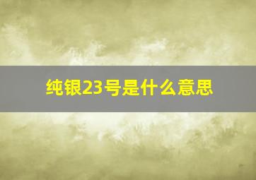 纯银23号是什么意思