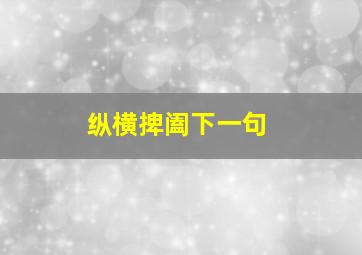 纵横捭阖下一句