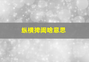 纵横捭阖啥意思