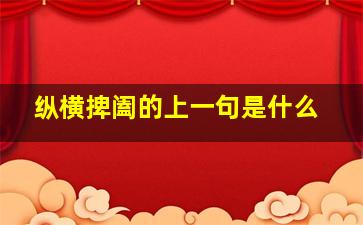 纵横捭阖的上一句是什么