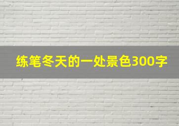 练笔冬天的一处景色300字