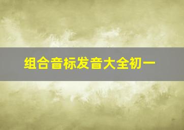 组合音标发音大全初一