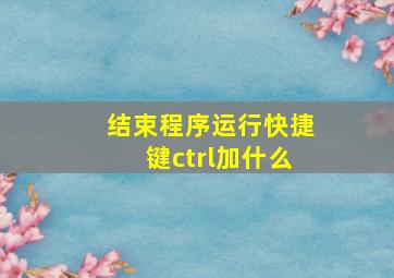 结束程序运行快捷键ctrl加什么