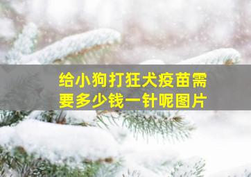 给小狗打狂犬疫苗需要多少钱一针呢图片