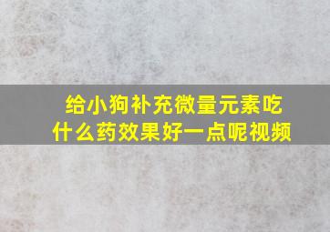 给小狗补充微量元素吃什么药效果好一点呢视频