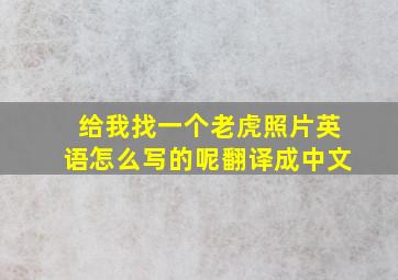 给我找一个老虎照片英语怎么写的呢翻译成中文