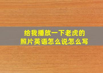 给我播放一下老虎的照片英语怎么说怎么写