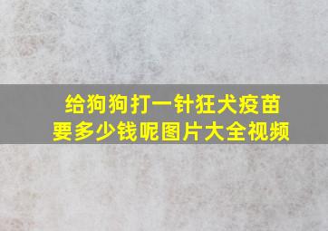 给狗狗打一针狂犬疫苗要多少钱呢图片大全视频