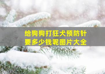 给狗狗打狂犬预防针要多少钱呢图片大全