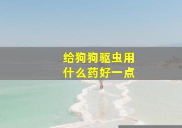 给狗狗驱虫用什么药好一点