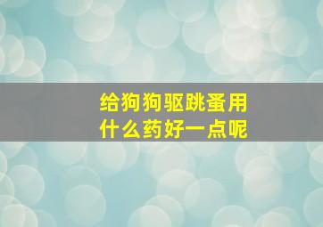 给狗狗驱跳蚤用什么药好一点呢