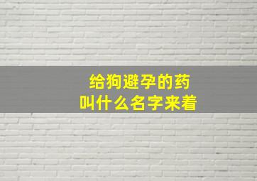 给狗避孕的药叫什么名字来着