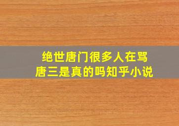 绝世唐门很多人在骂唐三是真的吗知乎小说