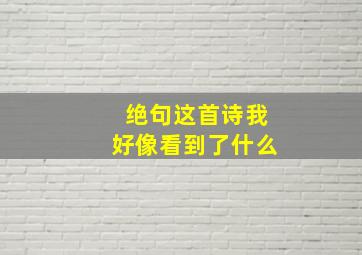 绝句这首诗我好像看到了什么